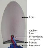 Close view of the artificial pinna.